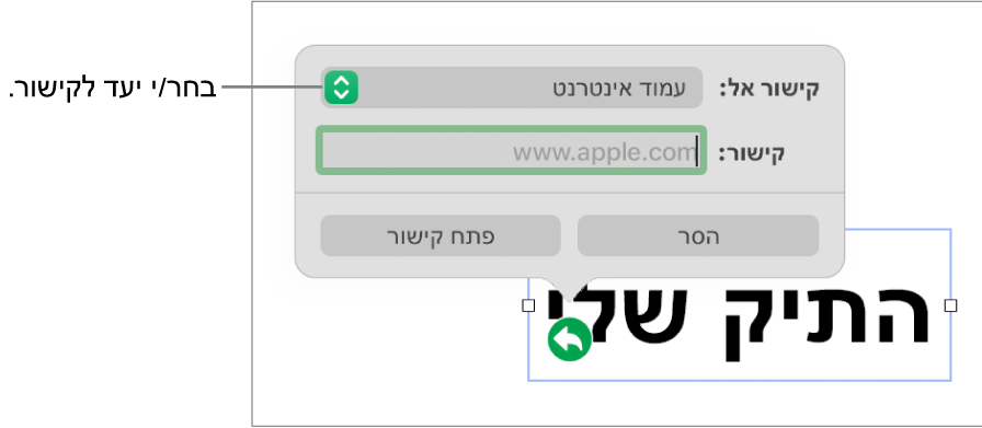 כלי הבקרה של עורך הקישורים כאשר האפשרות ״עמוד אינטרנט״ נבחרת ובחלק התחתון מוצגים הכפתורים ״הסר״ ו״פתח קישור״.