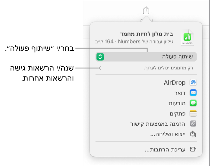 תפריט השיתוף כאשר האפשרות ״שיתוף פעולה״ נבחרת בחלק העליון ומתחתיה הגדרות הגישה וההרשאות.