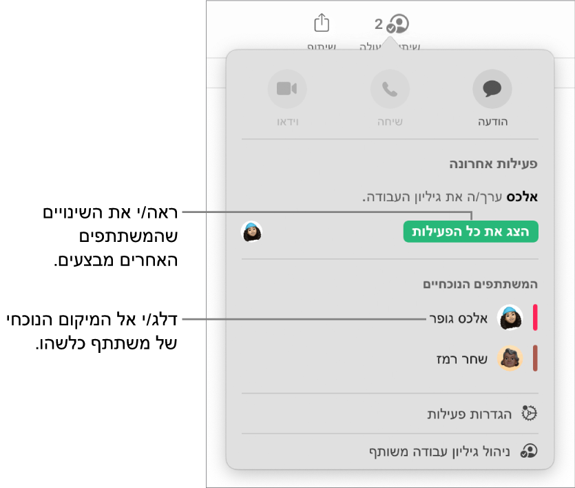תפריט ״שיתוף פעולה״ שרואים בו שני משתתפים פעילים כעת.