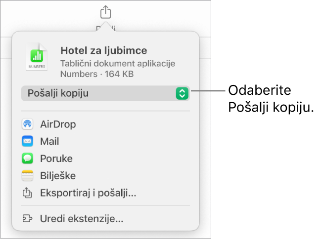 Izbornik dijeljenja s odabranom opcijom Pošalji kopiju pri vrhu.