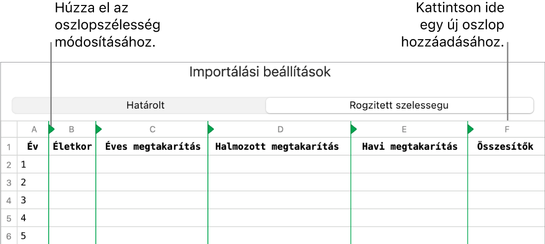 A rögzített szélességű szövegfájlok importálási beállításai.