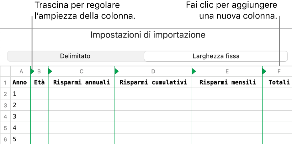 Impostazioni di importazione per un file di testo a larghezza fissa.