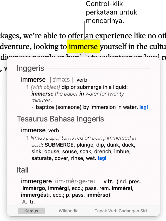 Teks dengan perkataan diserlahkan dan tetingkap menunjukkan definisinya dan entri tesaurus. Tiga butang di bahagian bawah tetingkap menyediakan pautan ke kamus, Wikipedia dan tapak web cadangan Siri.