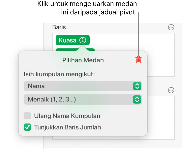 Menu Pilihan Medan, menunjukkan kawalan untuk mengumpulkan dan mengisih data, juga pilihan untuk mengeluarkan medan.