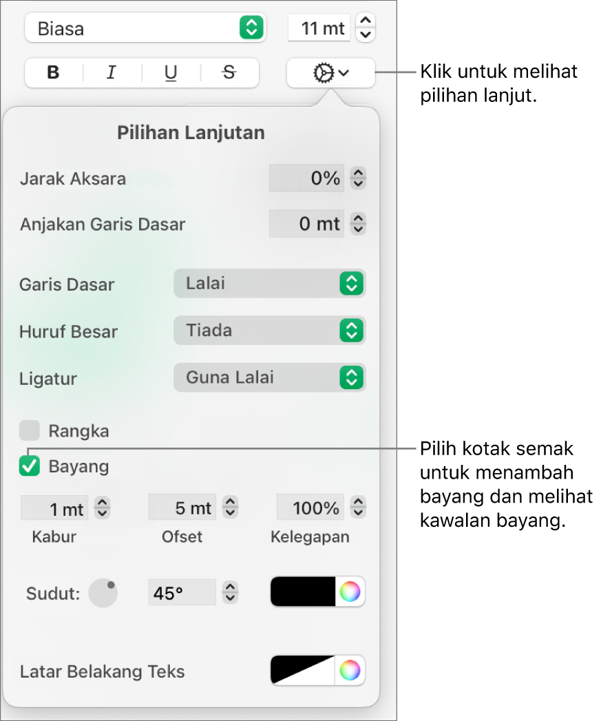 Menu Pilihan Teks Lanjut terbuka dengan kotak semak Bayang dipilih dan kawalan untuk mengesetkan kabur, ofset, kelegapan, sudut dan warna.