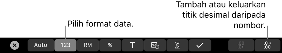 Touch Bar MacBook Pro dengan kawalan untuk memilih format data dan menambah atau mengeluarkan tempat desimal daripada nombor.
