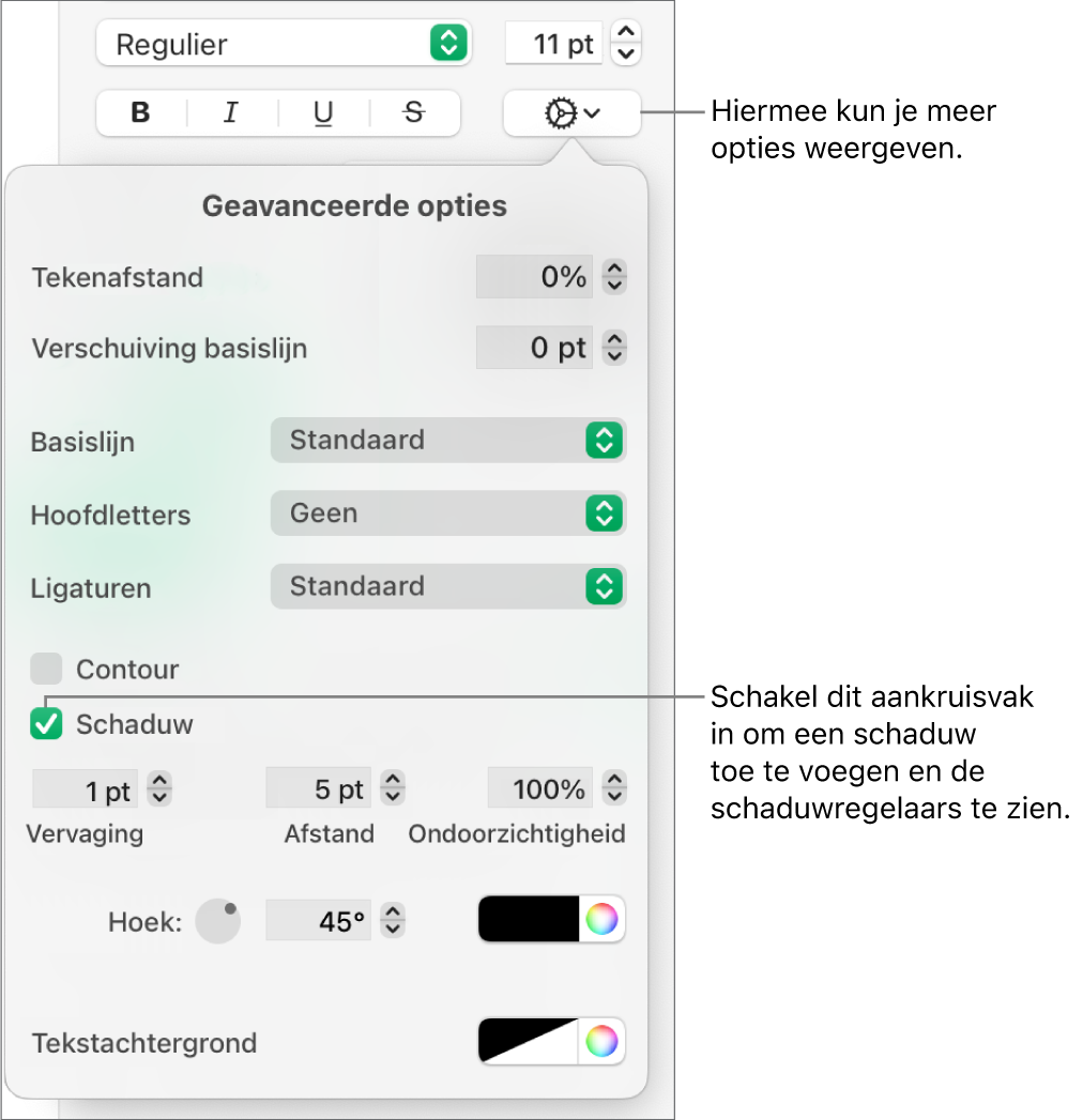 Het menu met meer tekstopties met het aankruisvak 'Schaduw' ingeschakeld en regelaars voor het instellen van de vervaging, afstand, ondoorzichtigheid, hoek en kleur.