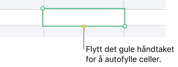 En markert celle med et gult håndtak som du kan dra i for å autofylle celler.