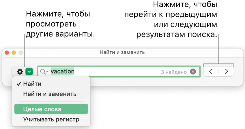 В окне «Найти и заменить» открыто всплывающее меню, в котором показаны параметры «Найти», «Найти и заменить», «Целые слова» и «Регистр». Стрелки справа позволяют переходить к предыдущему или следующему результату поиска.