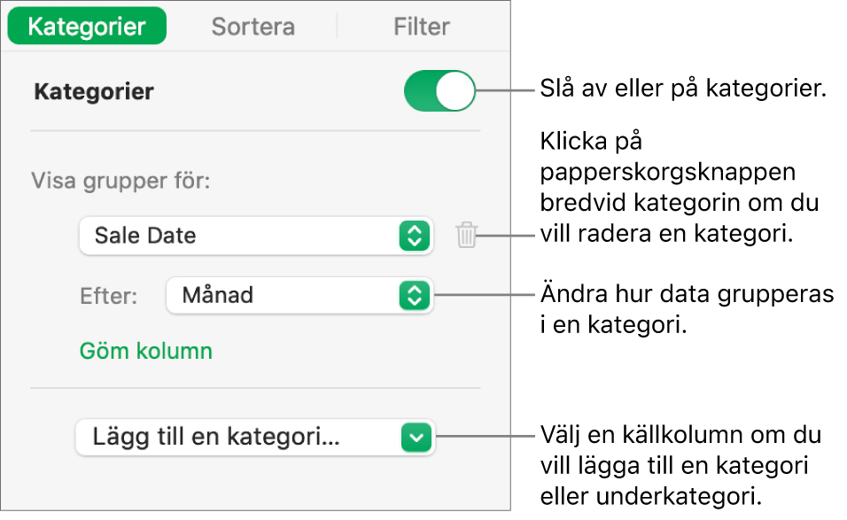 Kategorisidofältet med alternativ för att slå av kategorier, radera kategorier, gruppera om data, gömma en källkolumn och lägga till kategorier.