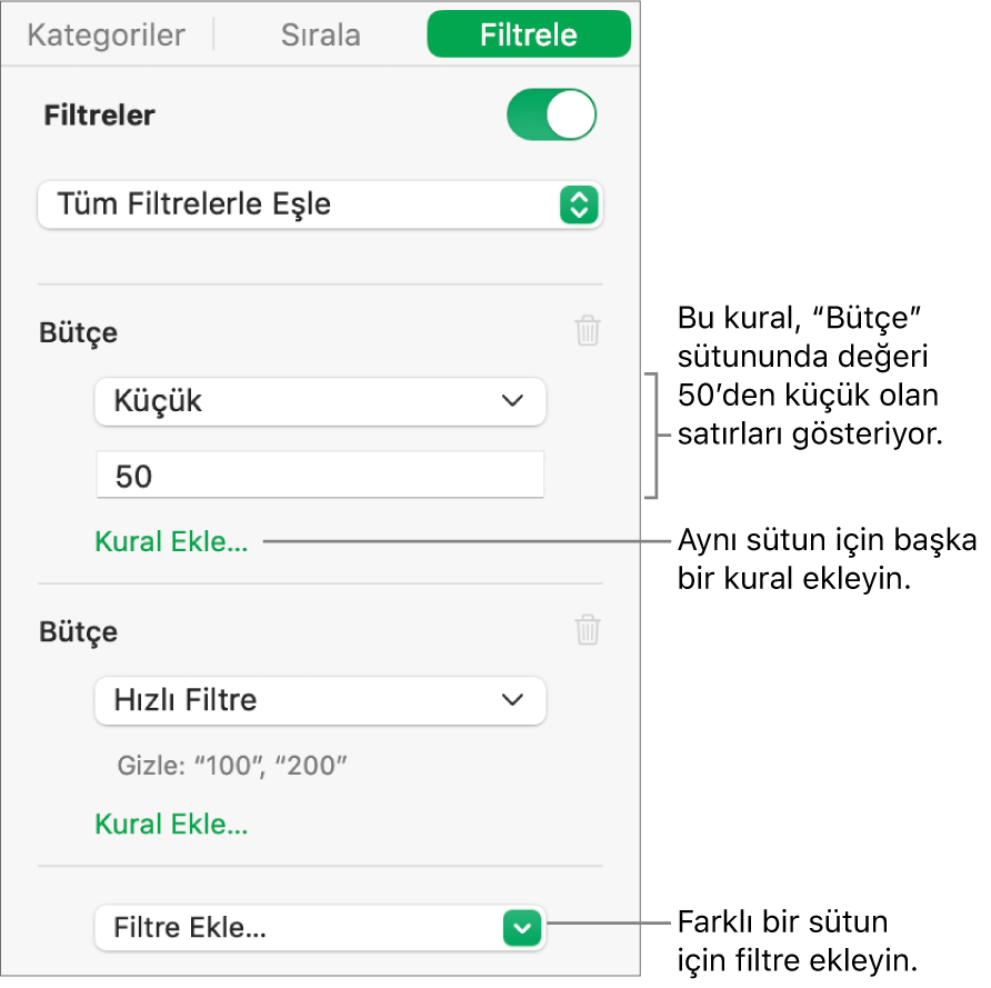 Filtreleme kuralları yaratmaya yönelik denetimler.