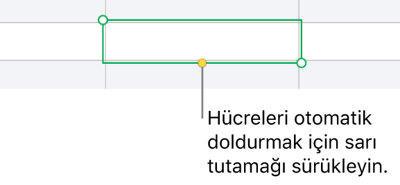 Hücreleri otomatik doldurmak için sürükleyebileceğiniz bir sarı tutamağı olan seçili hücre.