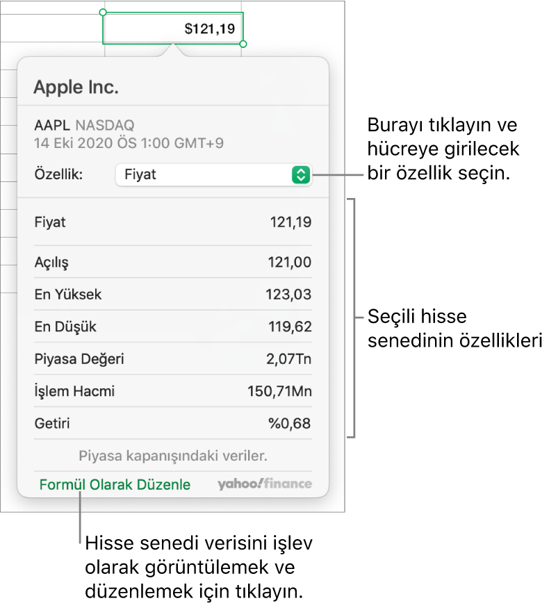 Seçilen hisse senedi Apple olmak üzere hisse senedi özelliği bilgilerinin girildiği sorgu kutusu.