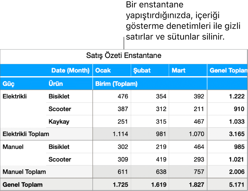 Özet tablo enstantanesi.