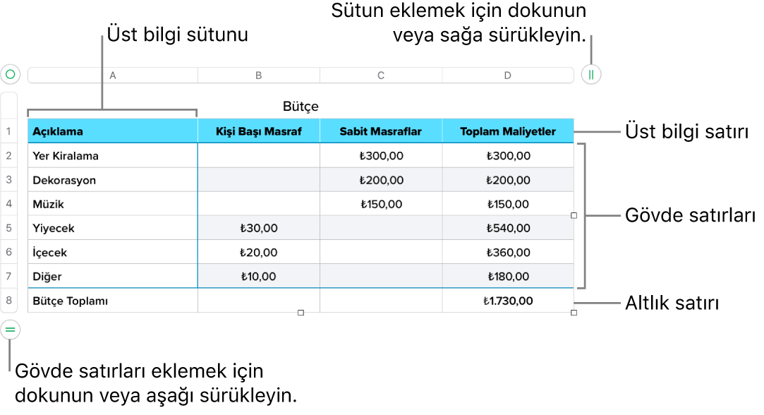 Üst bilgi, gövde ve dipnot satırlarını ve sütunlarını ve satır veya sütun eklemek ya da silmek için tutamakları gösteren bir tablo.