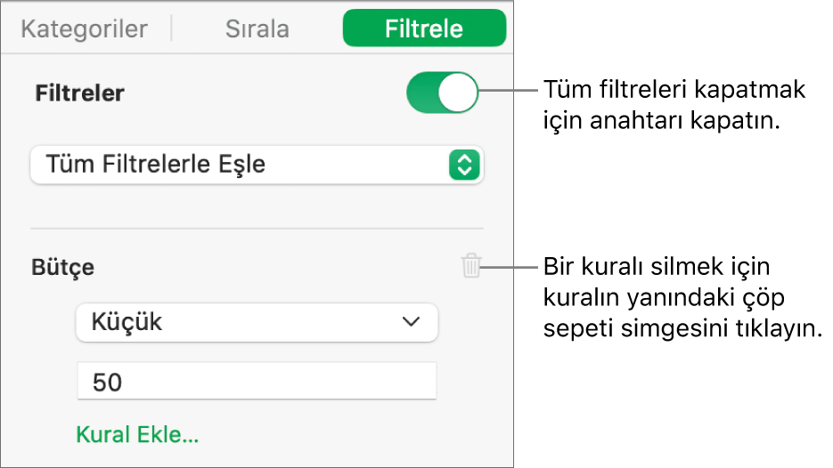 Filtreyi silme veya tüm filtreleri kapatma denetimleri.