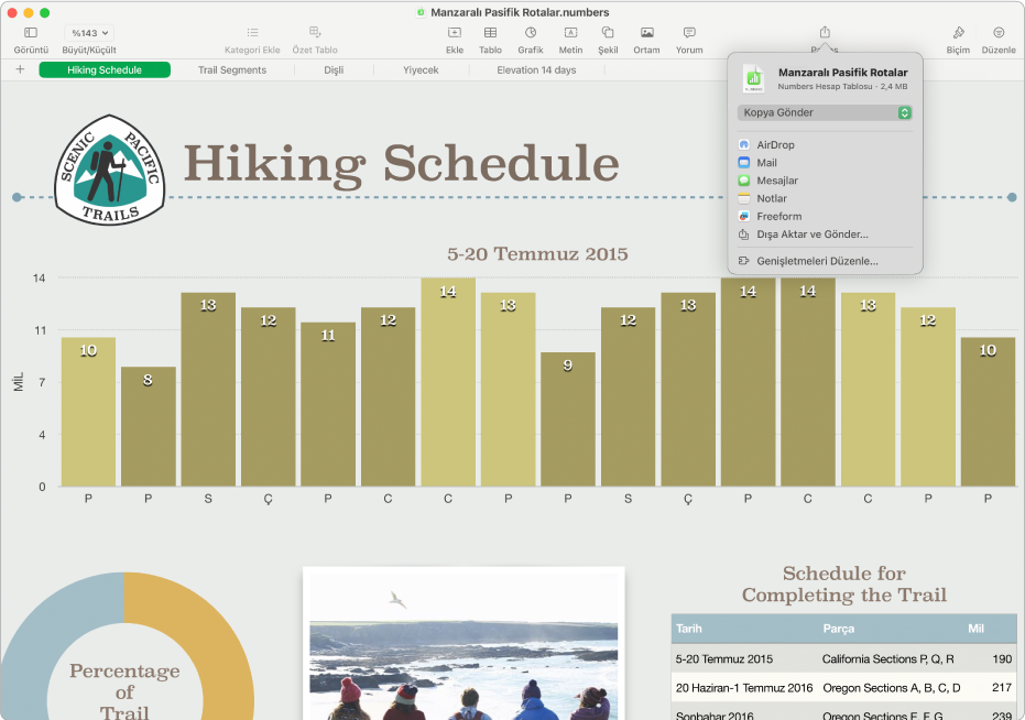 Hesap tablosunun bir kopyasını gönderme veya farklı bir biçimde dışa aktarma ve gönderme seçenekleriyle birlikte Paylaş menüsünü gösteren Numbers penceresi.