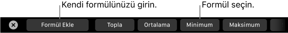 Kendi formülünüzü ekleme ve yaygın kullanılan bir formül seçme denetimleri ile MacBook Pro Touch Bar.