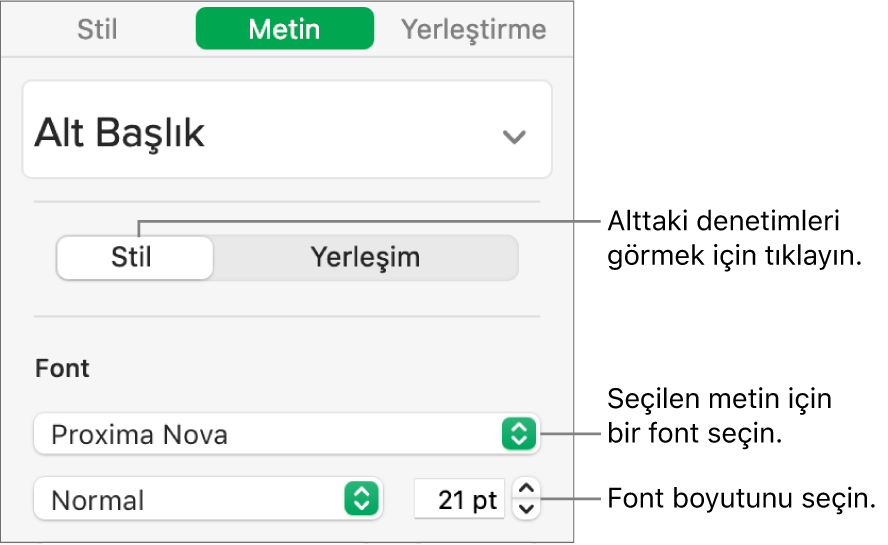 Fontu ve font puntosunu ayarlamak için Biçim kenar çubuğunun Stil bölümündeki metin denetimleri.