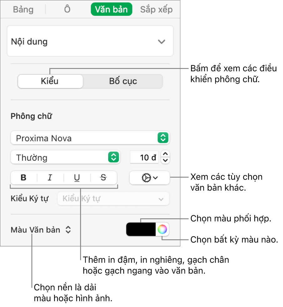 Các điều khiển để tạo kiểu văn bản của bảng.