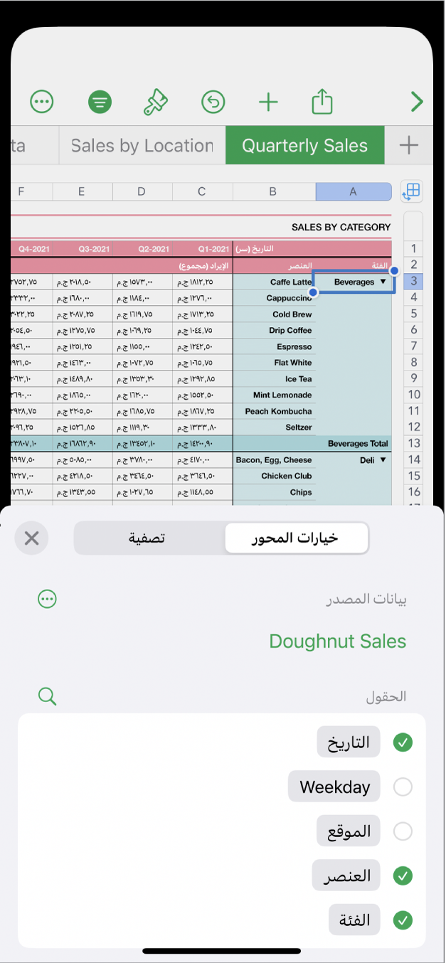 جدول بيانات يحتوي على خيارات المحور وعناصر التحكم في التصفية في أسفل الشاشة.