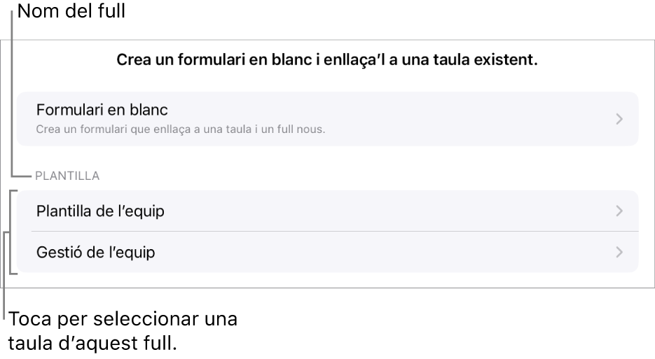 Una llista de taules que són al mateix full de càlcul, amb l’opció per crear un formulari en blanc a la part superior.