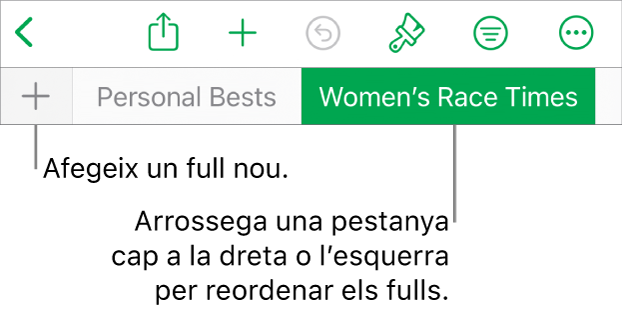 Barra de pestanyes per afegir un nou full, navegar, reordenar i reorganitzar els fulls.