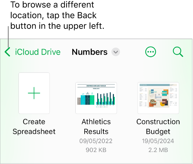 The browse view of the document manager with the Back button in the top-left corner and below it a Search field. Below the Search field is a Create Spreadsheet button next to thumbnails of existing spreadsheets. In the top-right corner are the Add button and the More button.