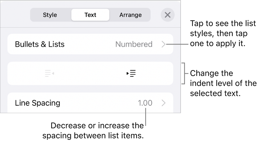 The Bullets & Lists section of the Format controls with callouts to Bullets & Lists, outdent and indent buttons, and line spacing controls.