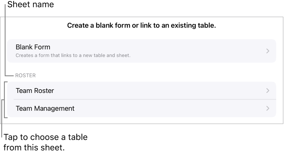 A list of tables that are in the same spreadsheet, with the option to create a blank form at the top.