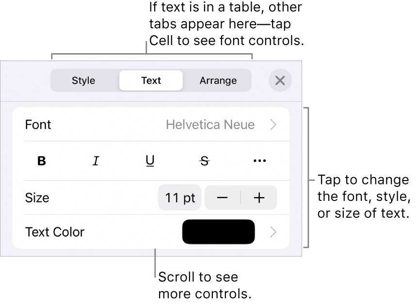 Text controls in the Format menu for setting paragraph and character styles, font, size, and color.