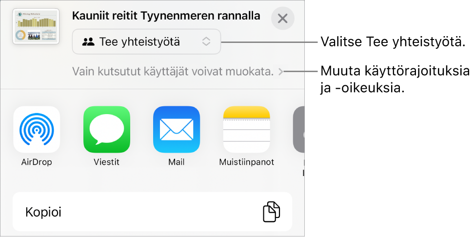 Jaa-valikko, jossa on ylhäällä valittuna Tee yhteistyötä, ja sen alla ovat käyttöoikeus- ja lupa-asetukset.