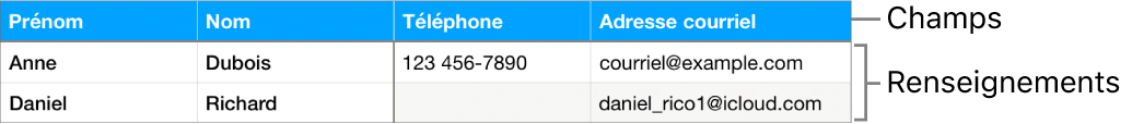 Tableau correctement configuré pour être utilisé avec des formulaires, avec une rangée d’en-tête contenant les étiquettes de champ et une liste de fiches affichant les coordonnées des membres d’une équipe de sport.