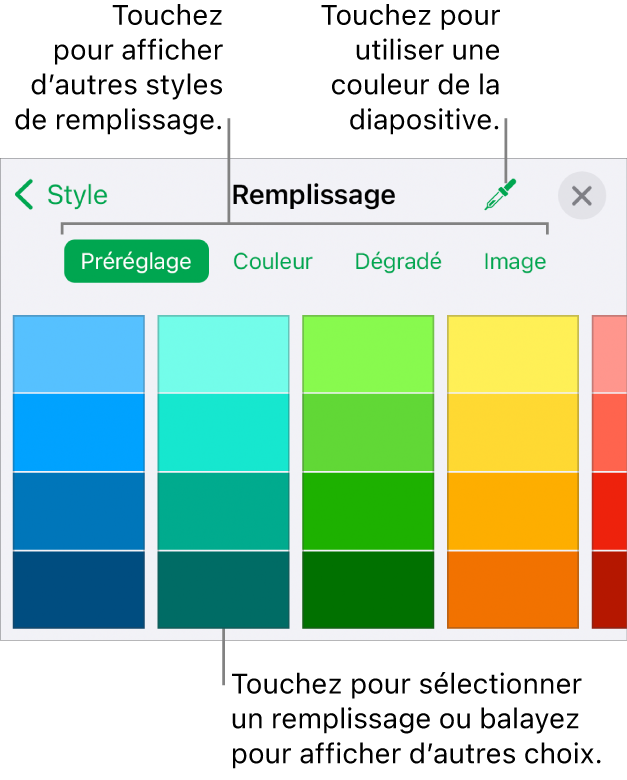 Options de remplissage de l’onglet Style du bouton Format.