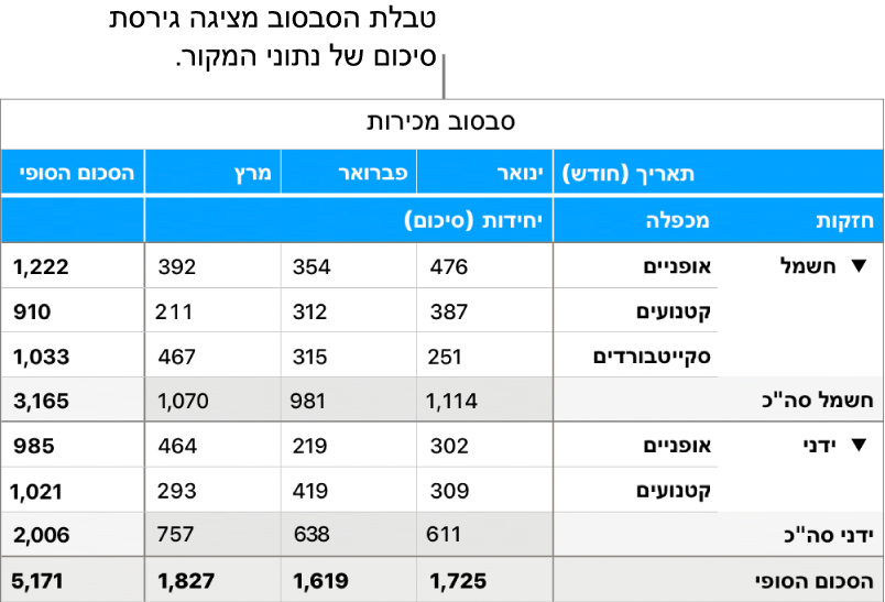 טבלת סבסוב הכוללת נתונים מסוכמים ופקדים לגילוי נתונים מסוימים.