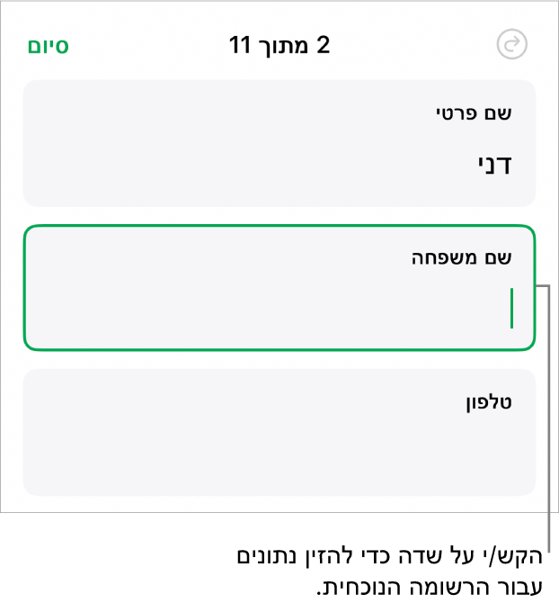 רשומה בטופס המציגה שדה פעיל עם נקודת כניסה.