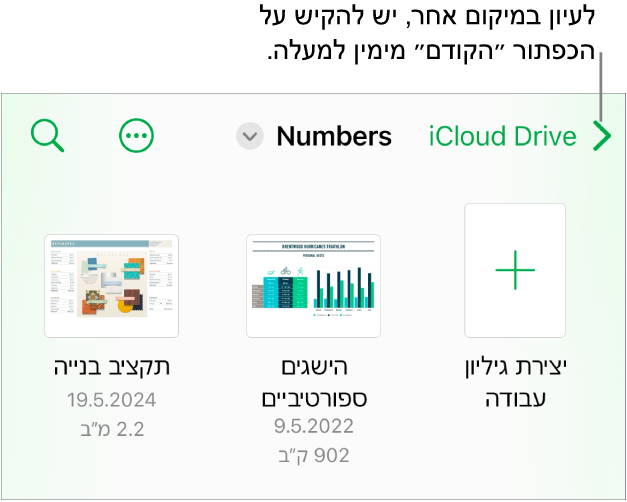 תצוגת העיון של מנהל המסמכים עם קישור למיקום בפינה הימנית העליונה ומתחתיו שדה חיפוש. בפינה השמאלית העליונה רואים את הכפתור ״הוסף גיליון עבודה״ ואת הכפתור ״עוד״. בתחתית המסך ישנם הכפתורים ״אחרונים״ ו״עיון״.