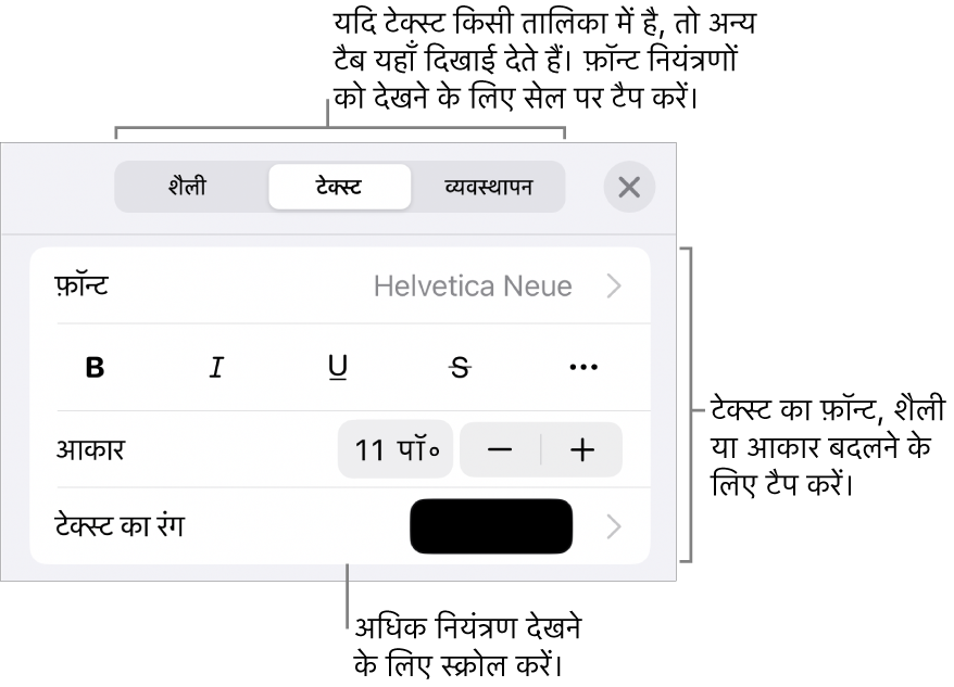 “फ़ॉर्मैट” मेनू में अनुच्छेद सेटिंग और वर्ण शैली, फ़ॉन्ट, आकार और रंग के लिए टेक्स्ट नियंत्रण।