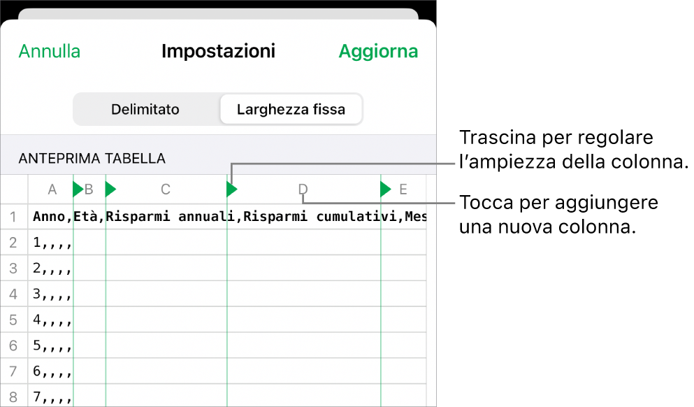 Impostazioni di importazione per un file di testo a larghezza fissa.