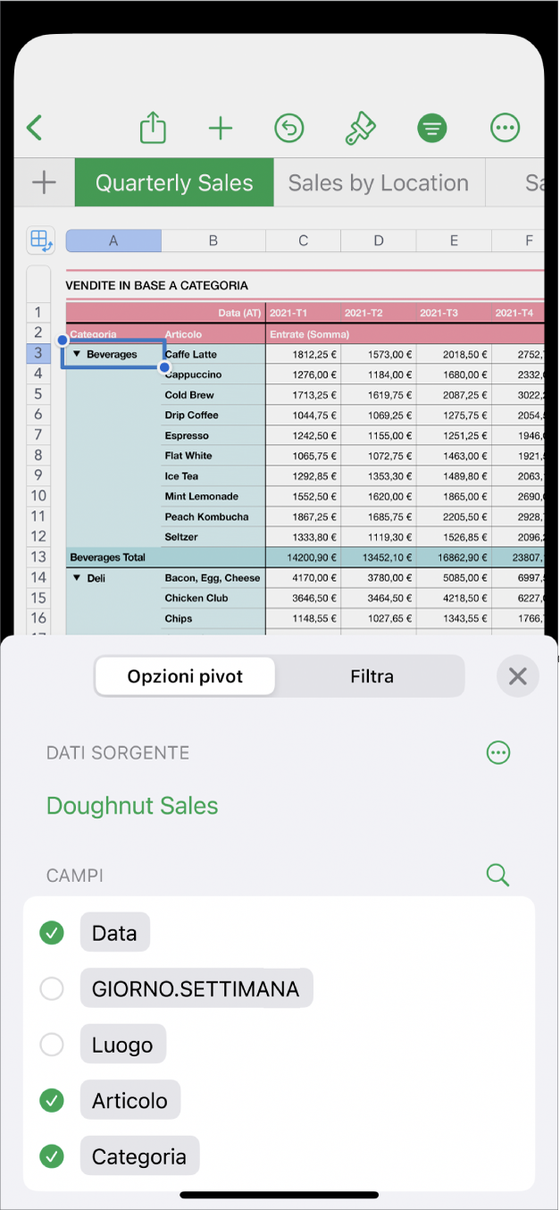 Un foglio di calcolo con i controlli delle Opzioni pivot e Filtri nella parte inferiore dello schermo.