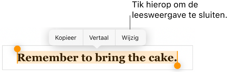 Er is een zin geselecteerd en erboven staat een contextueel menu met de knoppen 'Kopieer' en 'Wijzig'.