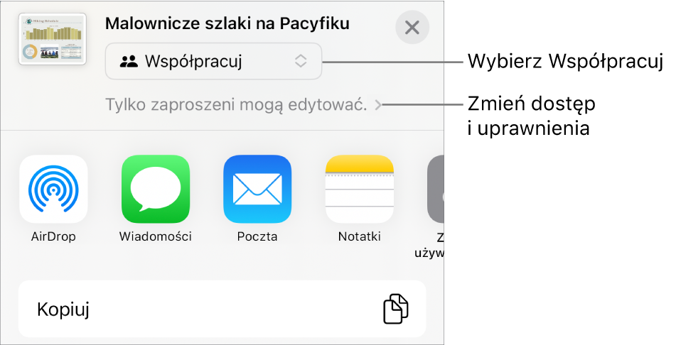 Menu udostępniania z opcją Współpracuj wybraną u góry oraz ustawieniami dostępu i uprawnień poniżej.