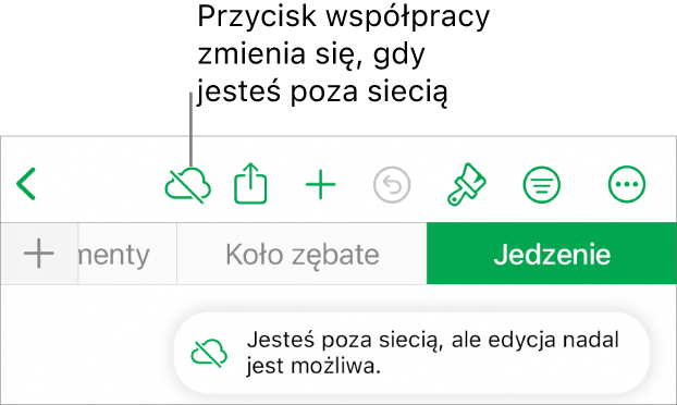 Przyciski znajdują się u góry ekranu; przycisk współpracy wyświetlany jest jako chmura przekreślona ukośną linią. Alert zawierający następującą informację: Brak połączenia z siecią, ale edycja nadal jest możliwa.