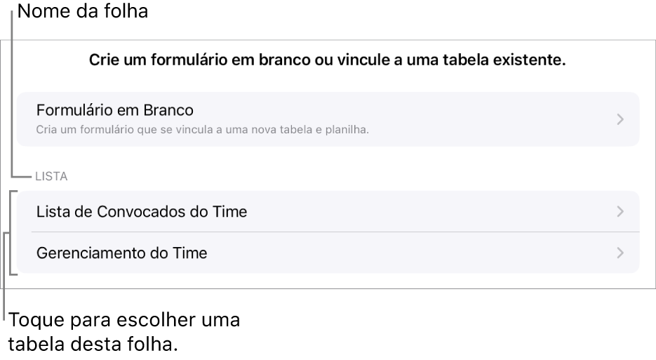 Uma lista de tabelas que estão na mesma planilha, com a opção de criar um formulário em branco na parte superior.