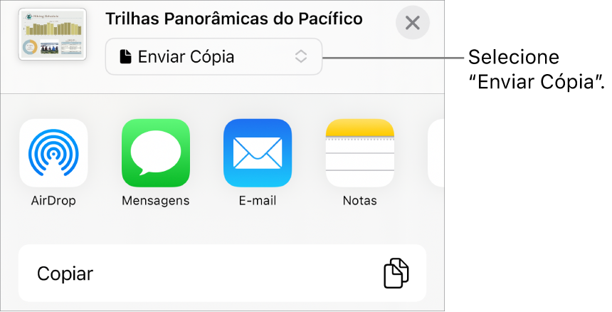 Menu Compartilhar com “Enviar Cópia” selecionado na parte superior.