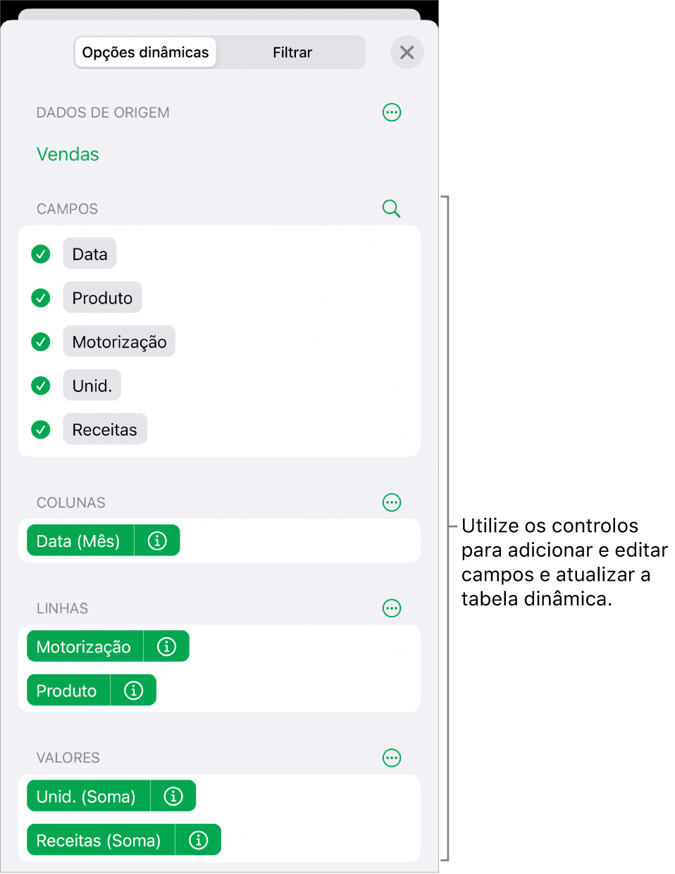 O menu "Opções dinâmicas” a mostrar campos nas secções “Colunas”, “Linhas” e “Valores”, bem como os controlos para editar os campos.