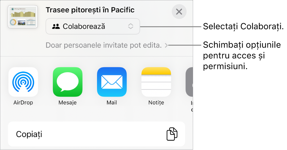 Meniul Partajați, cu opțiunea Colaborați selectată în partea de sus și configurările de acces și permisiune dedesubt.