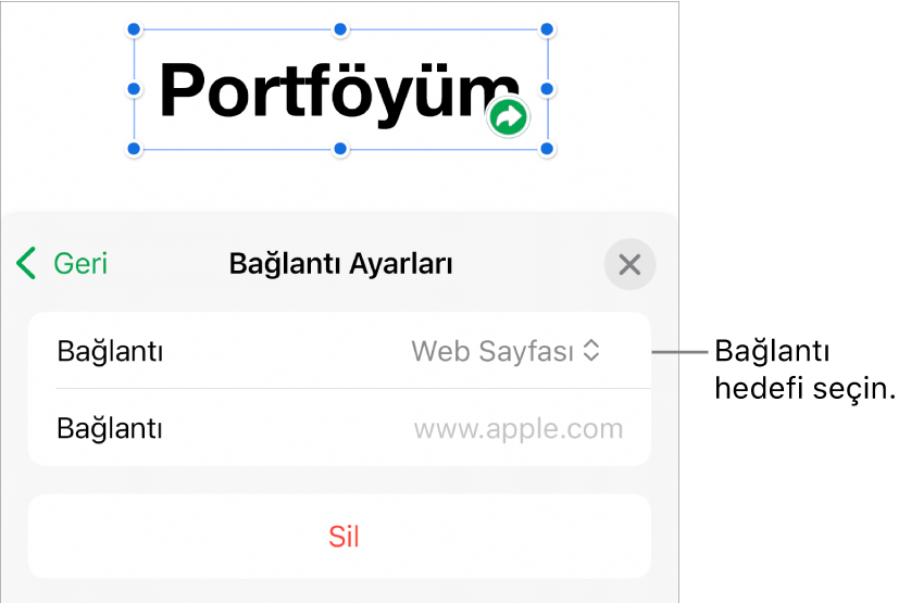 Bağlantı Ayarları denetimlerinde Web Sayfası seçili, en altta ise Sil düğmesi bulunuyor.