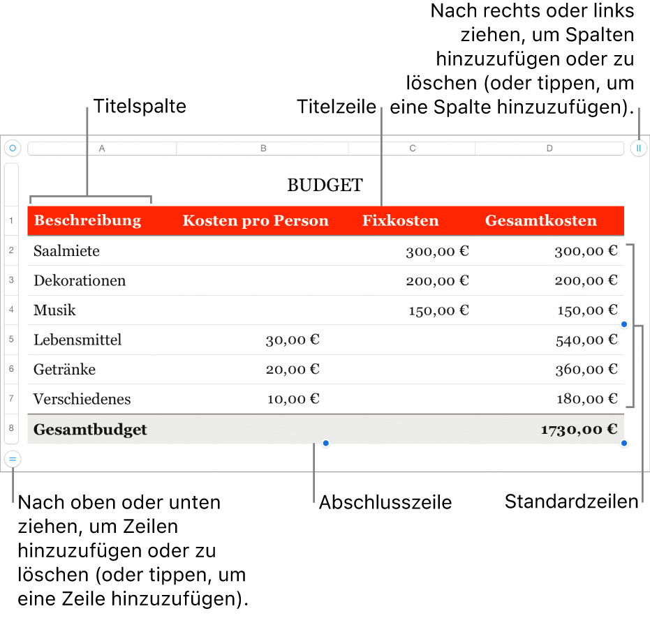 Eine Tabelle mit Titel-, Standard- und Abschlusszeilen und Spalten sowie mit Aktivpunkten zum Hinzufügen oder Löschen von Zeilen oder Spalten.