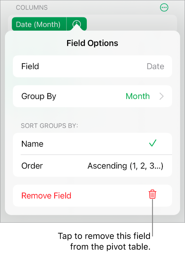 The Field Options menu, showing the controls for grouping and sorting data, as well as the option to remove a field.